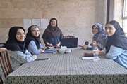 برگزاری طرح «منتورشیپ پژوهشی» در مرکز تحقیقات بهداشت باروری ولیعصر