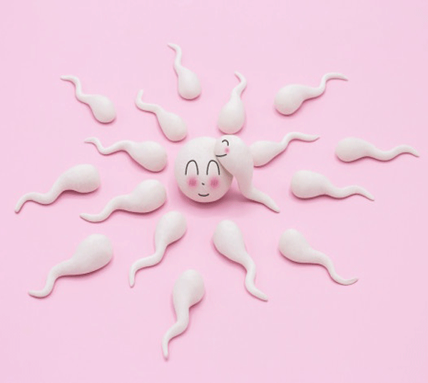 اسپرم و ناباروری