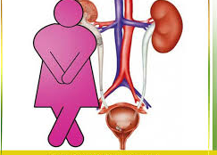 مشکلات ادراری در بارداری