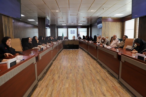 جلسه بررسی عملکرد و اقدامات انجام شده در راستای برنامه جامعه نگر رشد و تکامل کودکان(تاک)